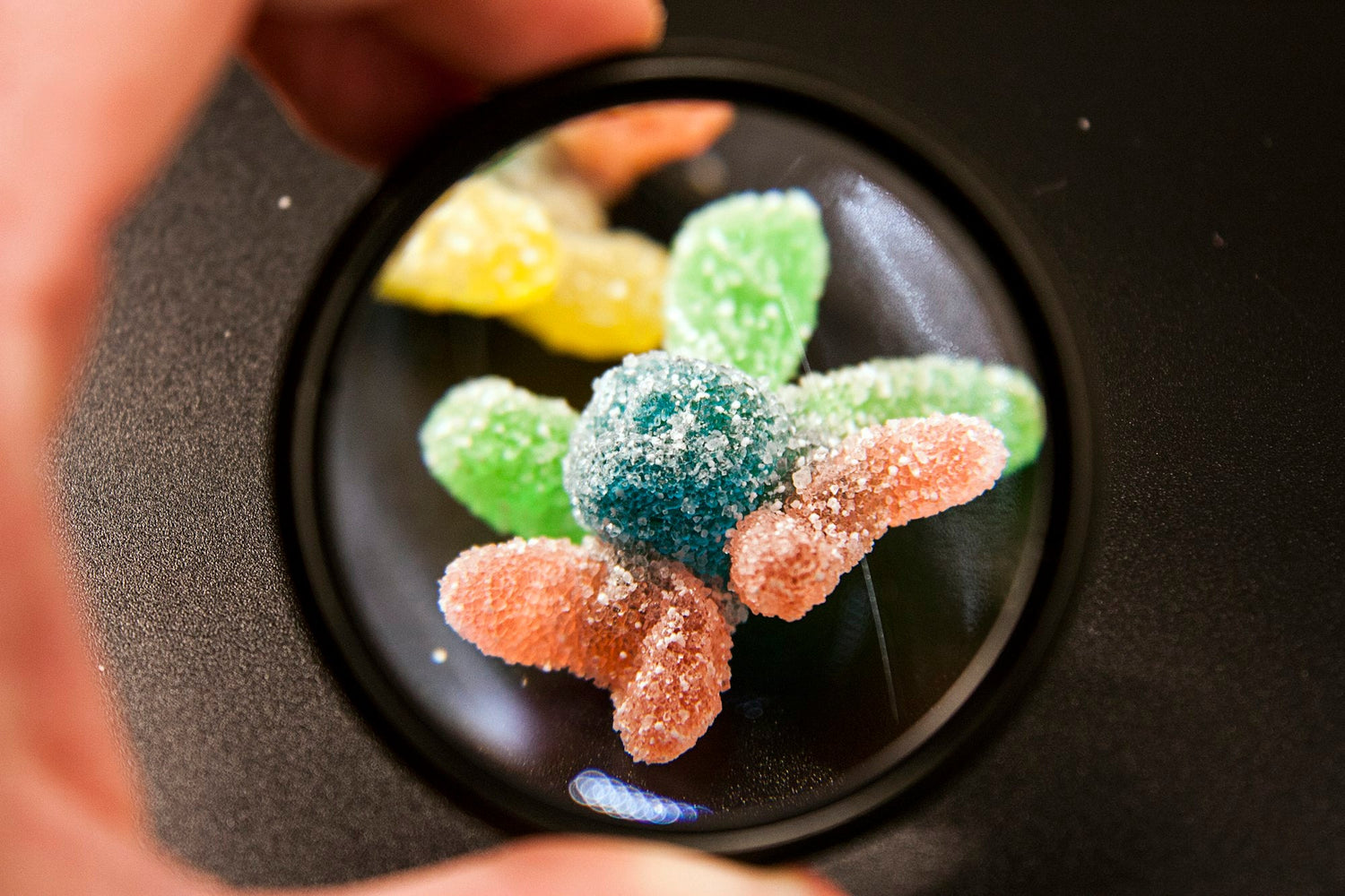 THC-Free Gummies: A Safe Option for Everyone